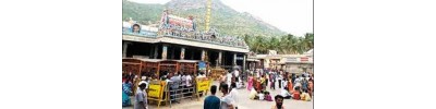 236. திருவண்ணாமலை